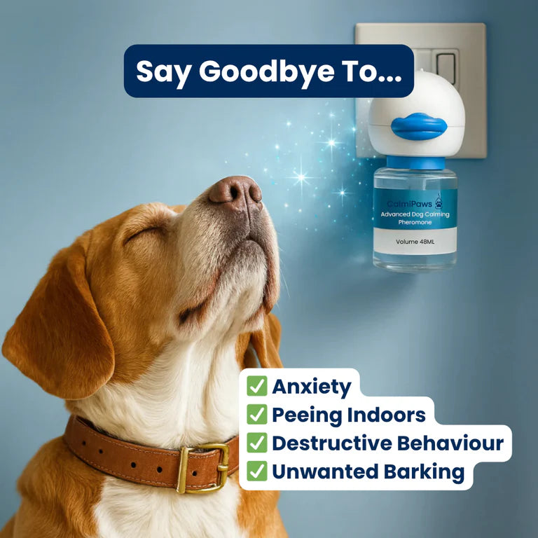 SnuggleScent™ Dog Diffuser