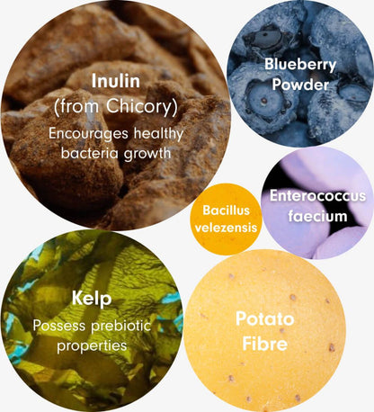 Probiotics for dogs – soft chews for gut & digestive health