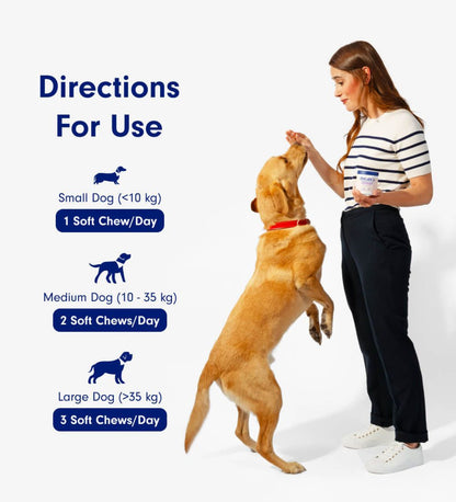 Probiotics for dogs – soft chews for gut & digestive health