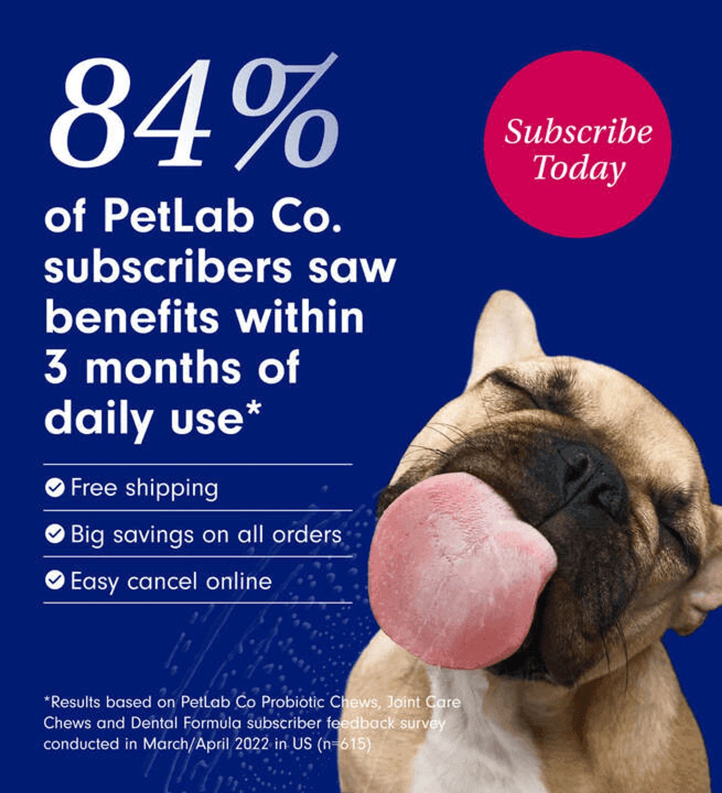 Probiotics for dogs – soft chews for gut & digestive health